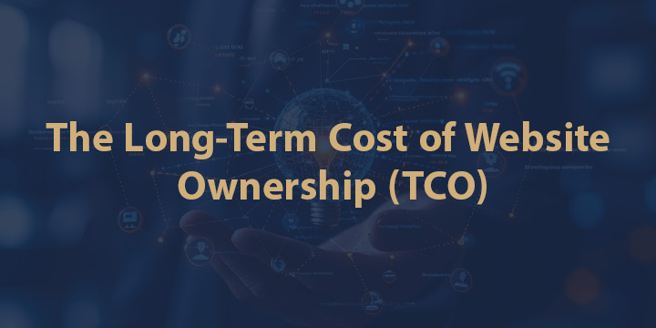 The Long-Term Cost of Website Ownership